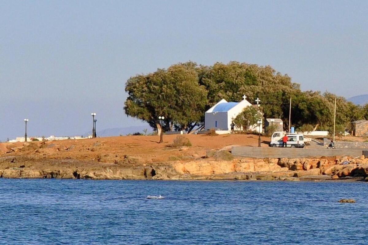 Villa Thalia Gouves Exterior foto